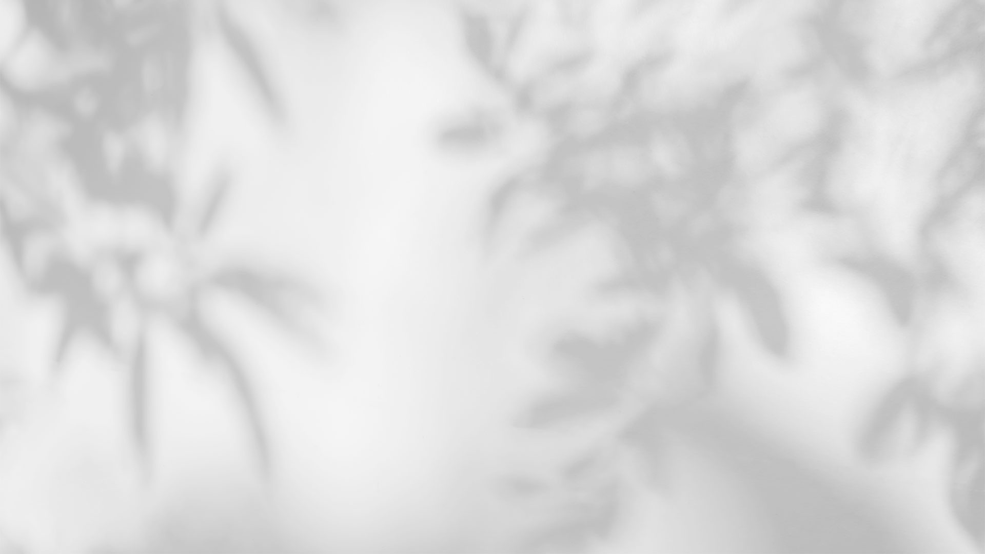 shadow